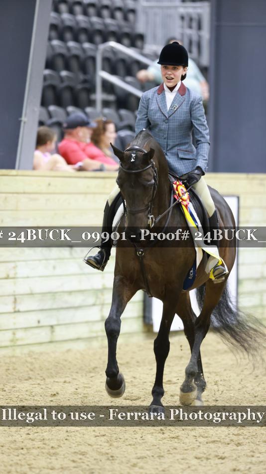 Proof 24BUCK_09901
