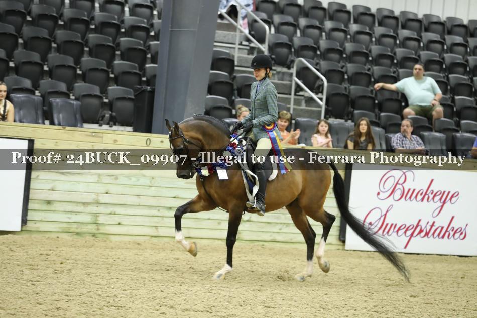 Proof 24BUCK_09907