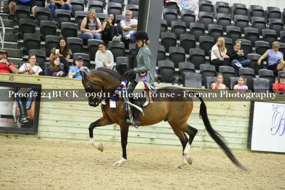 Proof 24BUCK_09911
