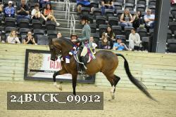 24BUCK_09912 proof