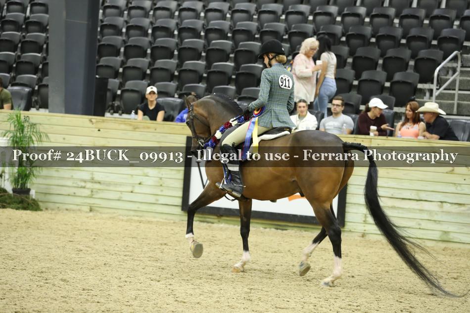Proof 24BUCK_09913