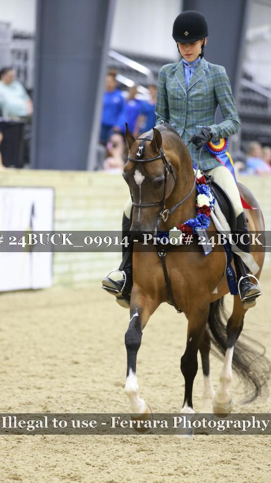 Proof 24BUCK_09914