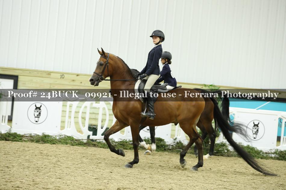 Proof 24BUCK_09921