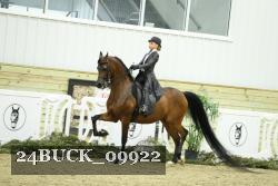 24BUCK_09922 proof