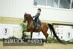 24BUCK_09923 proof