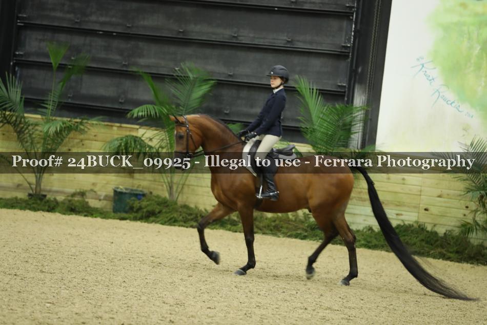 Proof 24BUCK_09925