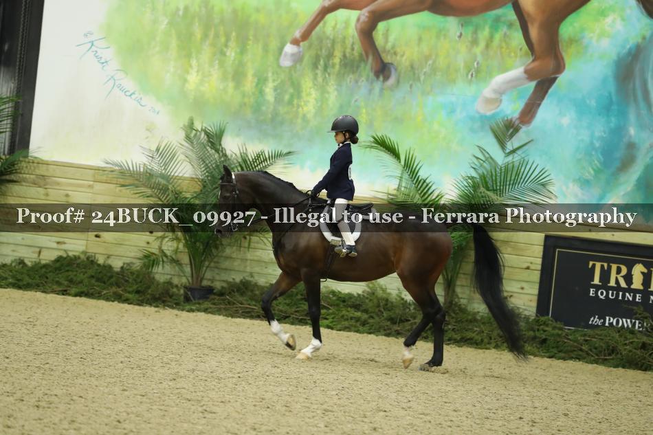 Proof 24BUCK_09927