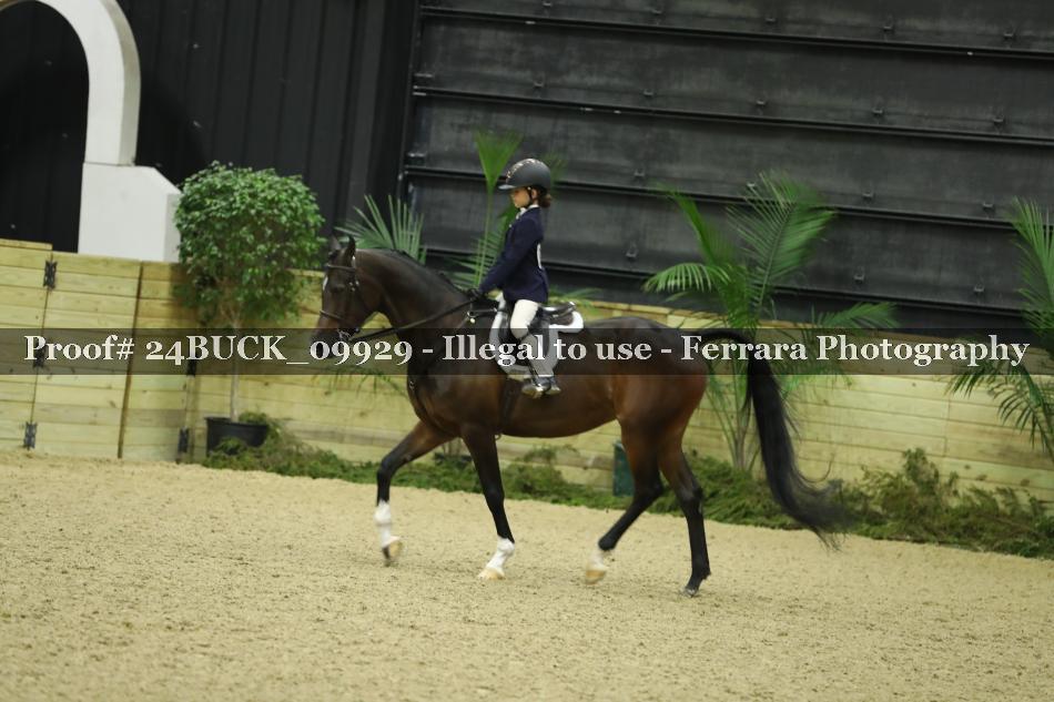Proof 24BUCK_09929