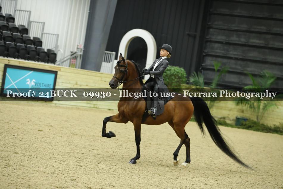 Proof 24BUCK_09930