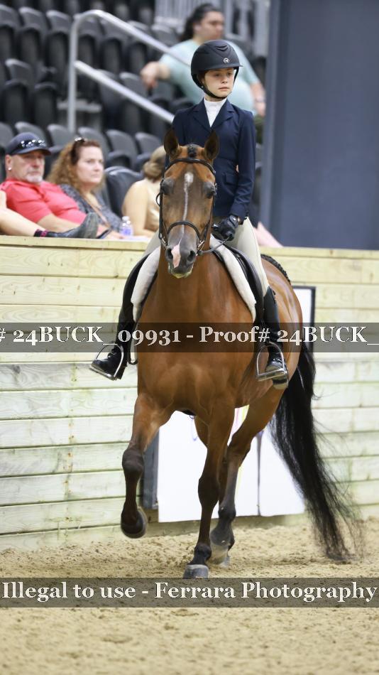 Proof 24BUCK_09931