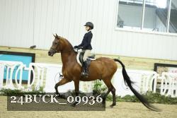 24BUCK_09936 proof