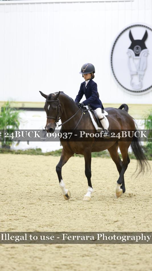 Proof 24BUCK_09937