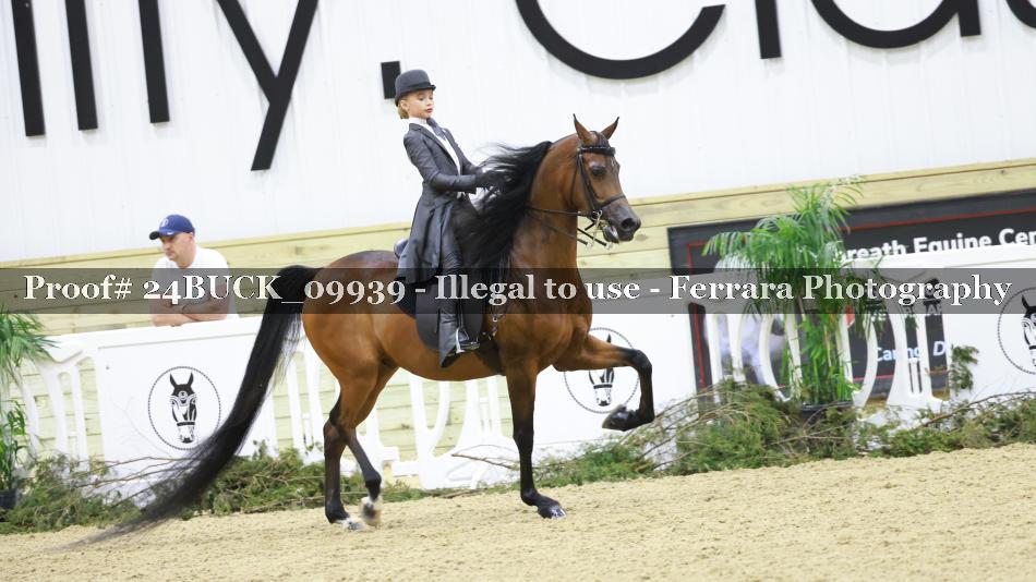 Proof 24BUCK_09939