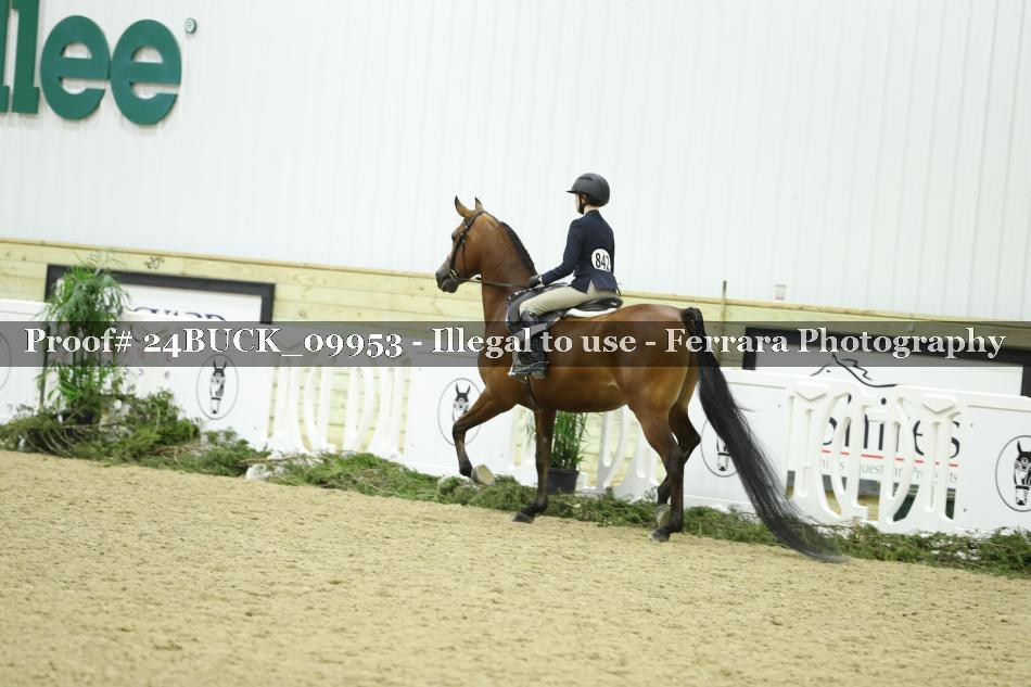 Proof 24BUCK_09953