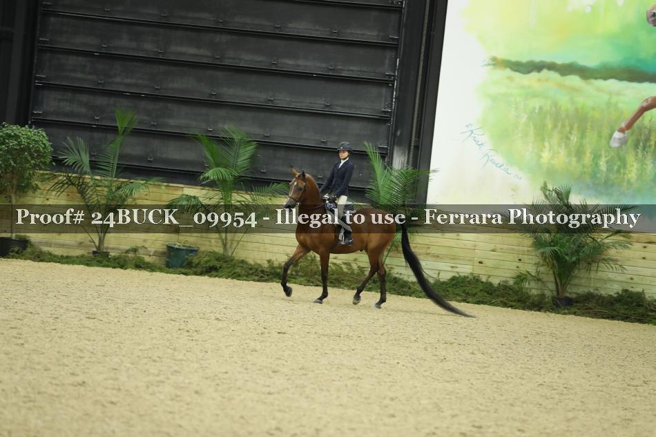 Proof 24BUCK_09954