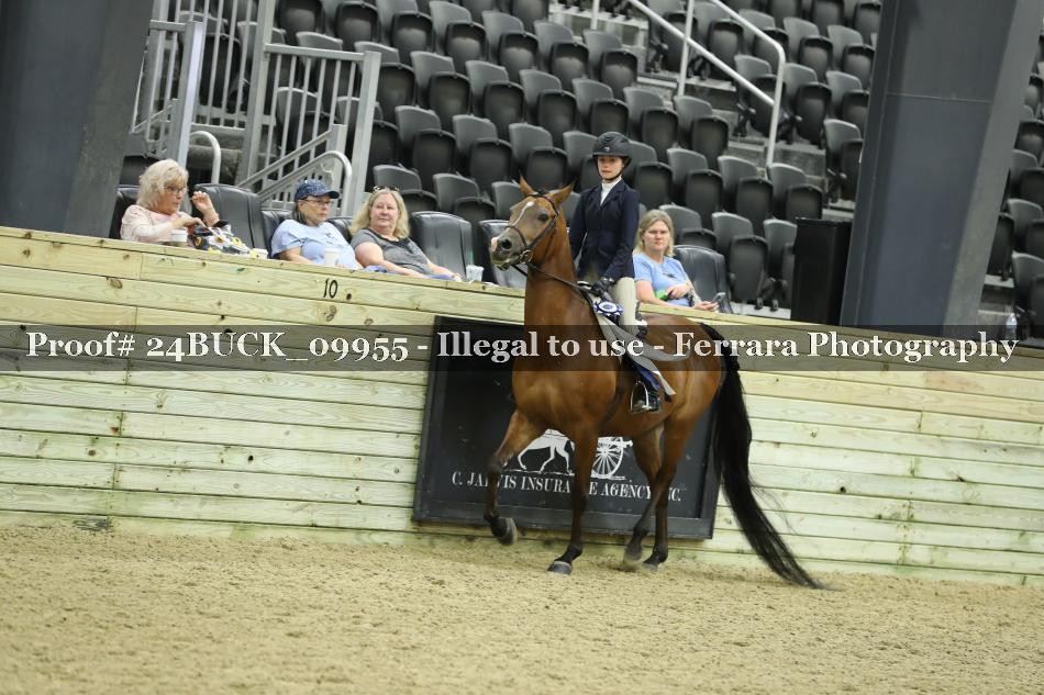 Proof 24BUCK_09955