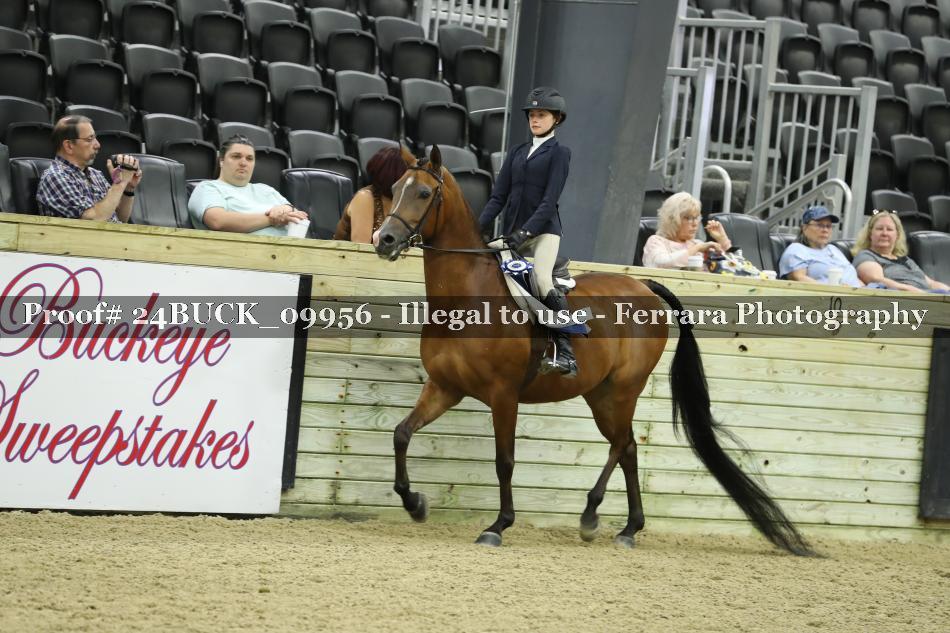 Proof 24BUCK_09956