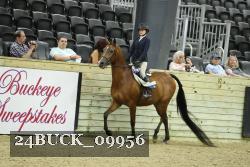 24BUCK_09956 proof