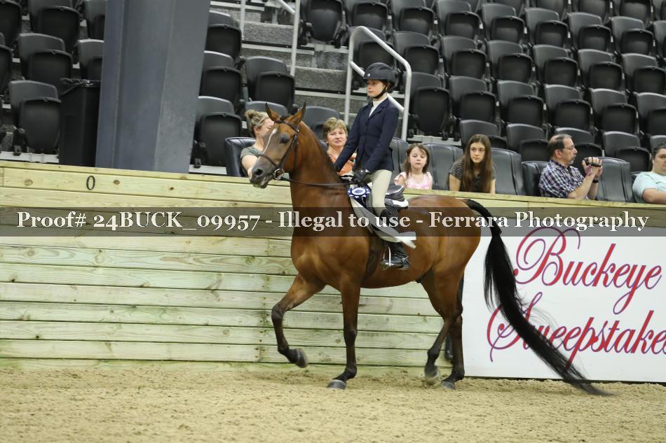 Proof 24BUCK_09957