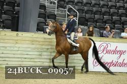 24BUCK_09957 proof