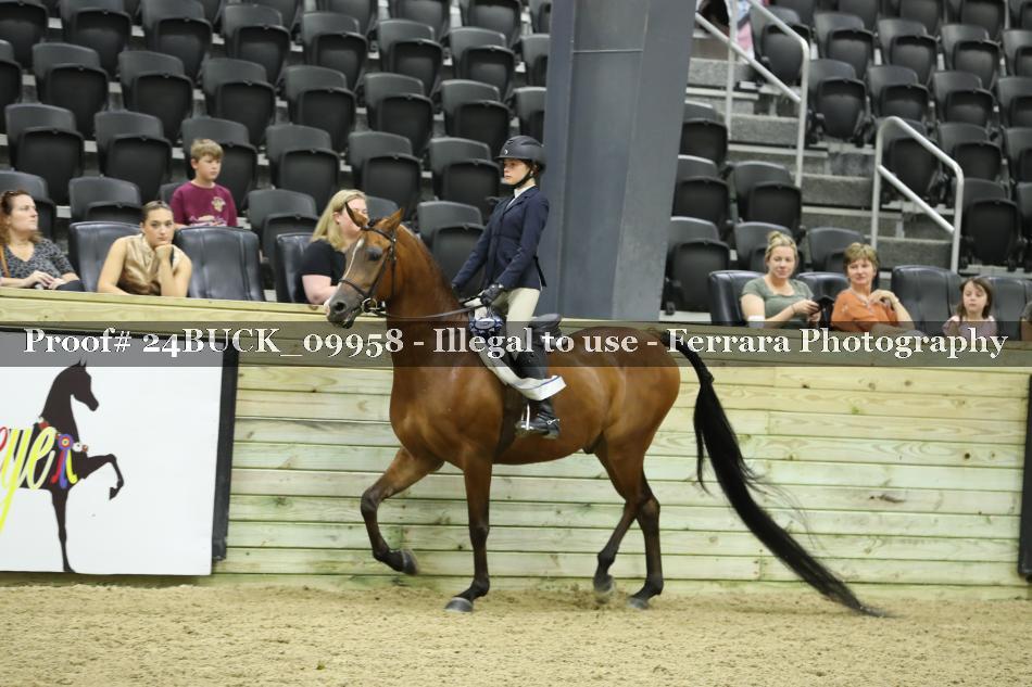 Proof 24BUCK_09958