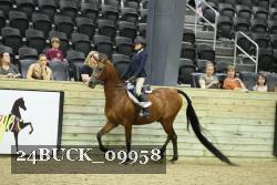 24BUCK_09958 proof