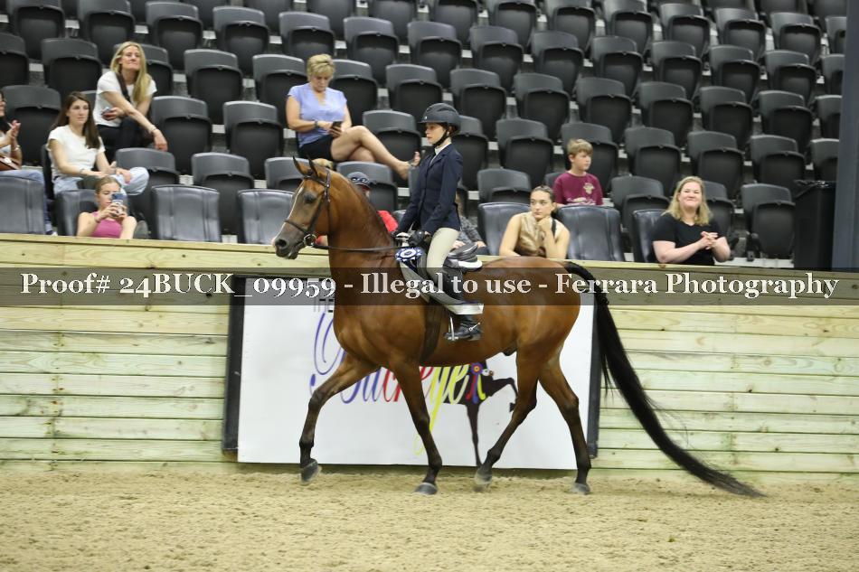 Proof 24BUCK_09959