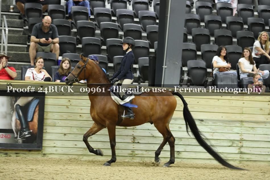 Proof 24BUCK_09961