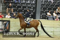 24BUCK_09961 proof