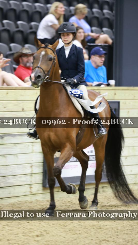 Proof 24BUCK_09962