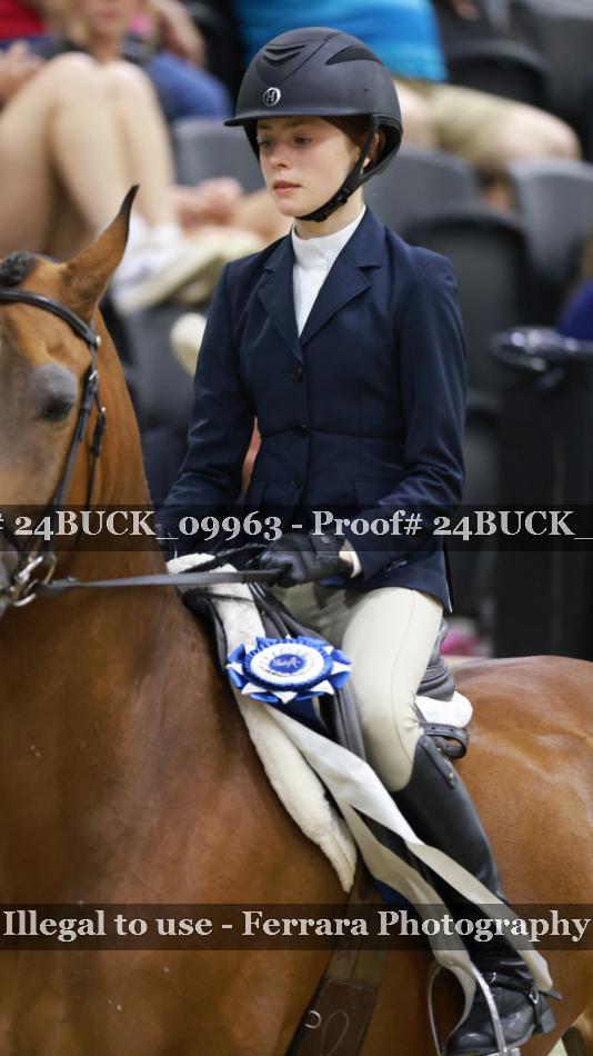 Proof 24BUCK_09963