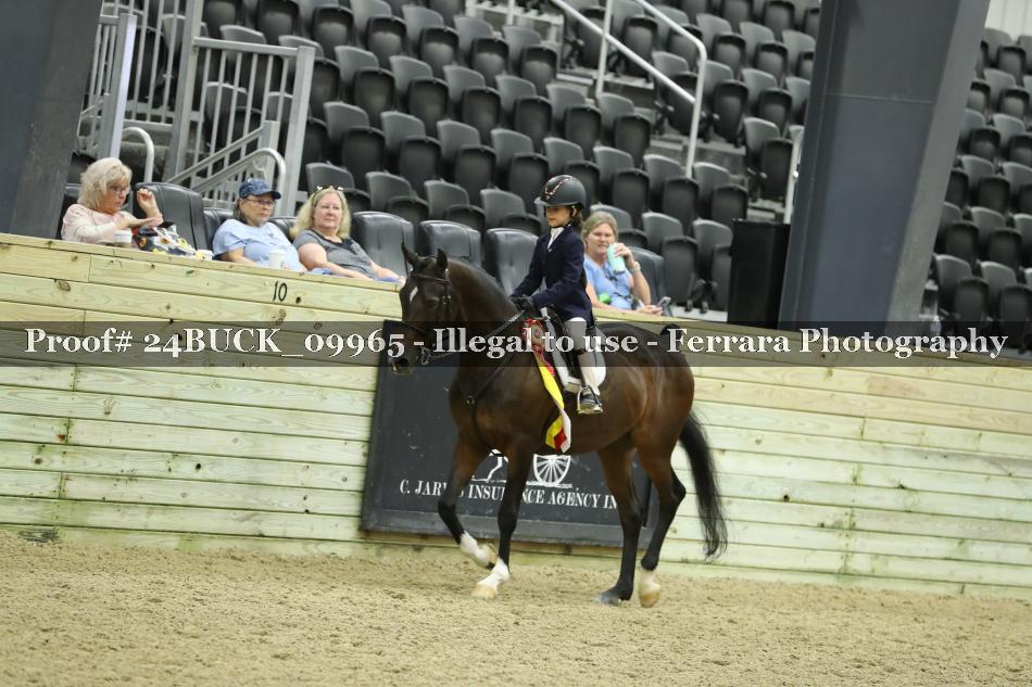 Proof 24BUCK_09965