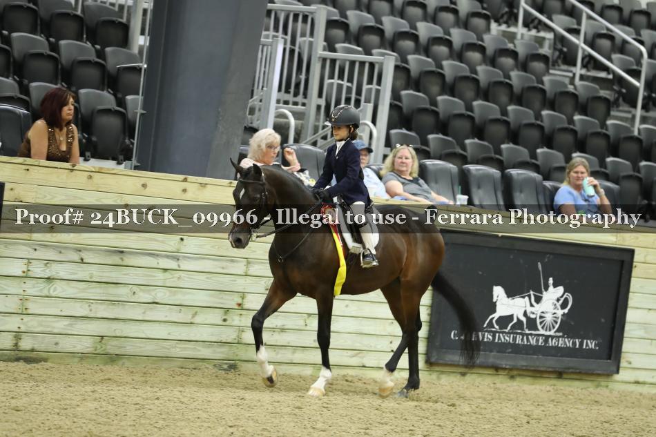 Proof 24BUCK_09966