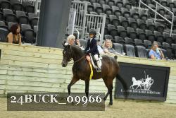 24BUCK_09966 proof