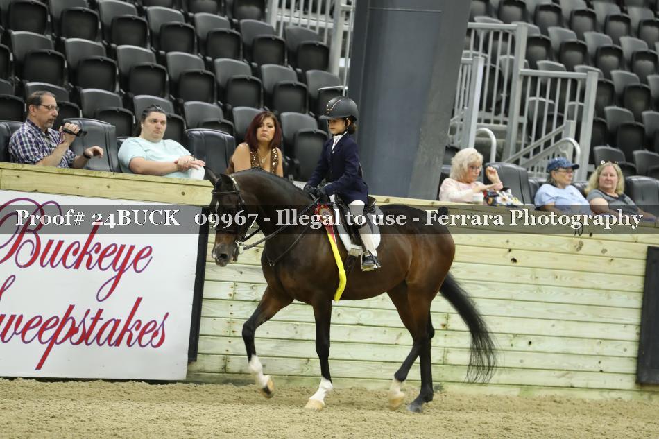 Proof 24BUCK_09967