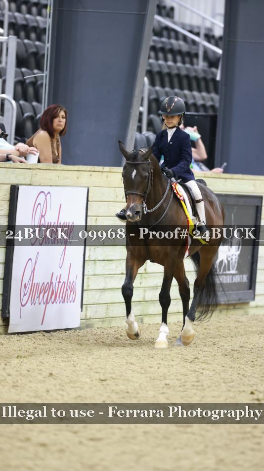 Proof 24BUCK_09968