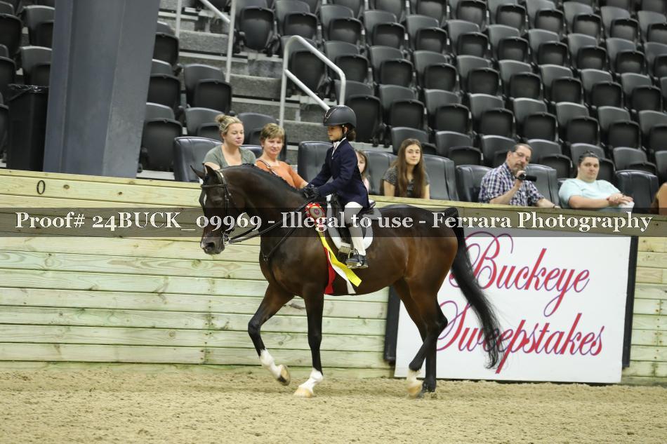 Proof 24BUCK_09969