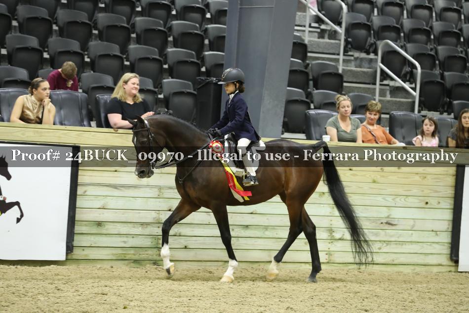 Proof 24BUCK_09970