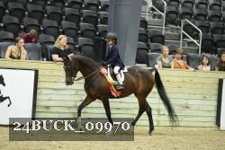 24BUCK_09970 proof
