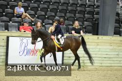 24BUCK_09971 proof