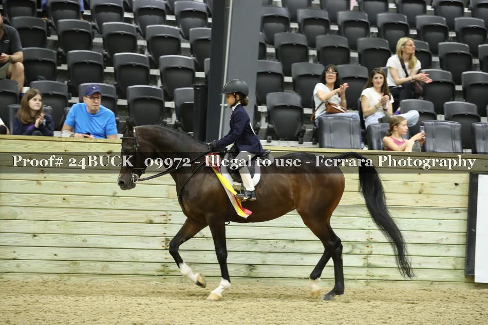 Proof 24BUCK_09972