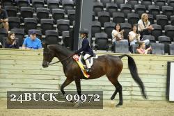 24BUCK_09972 proof