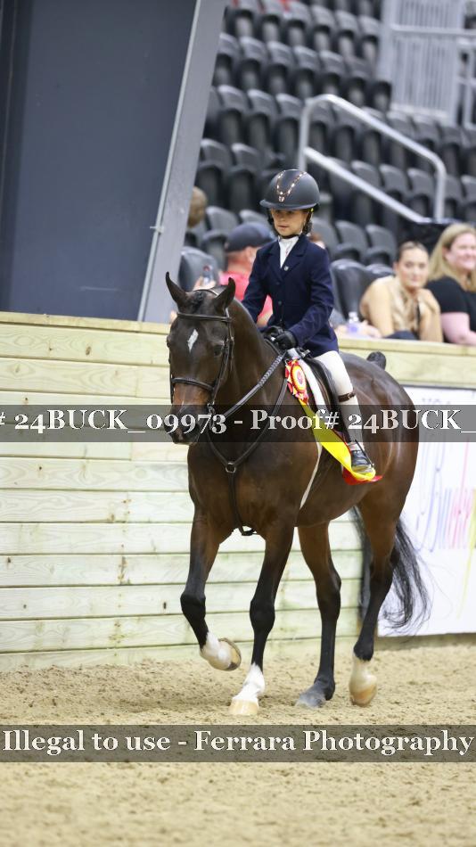 Proof 24BUCK_09973