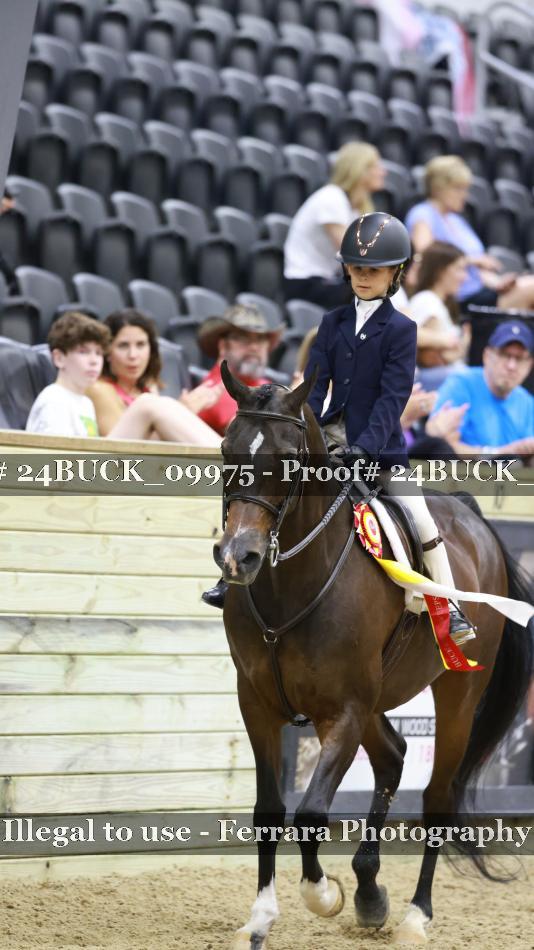 Proof 24BUCK_09975
