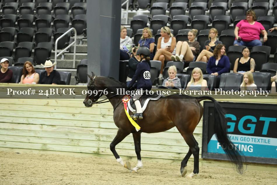 Proof 24BUCK_09976