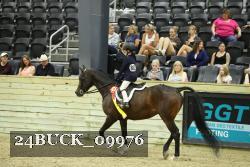 24BUCK_09976 proof