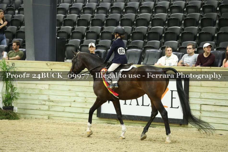 Proof 24BUCK_09977