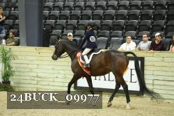 24BUCK_09977 proof