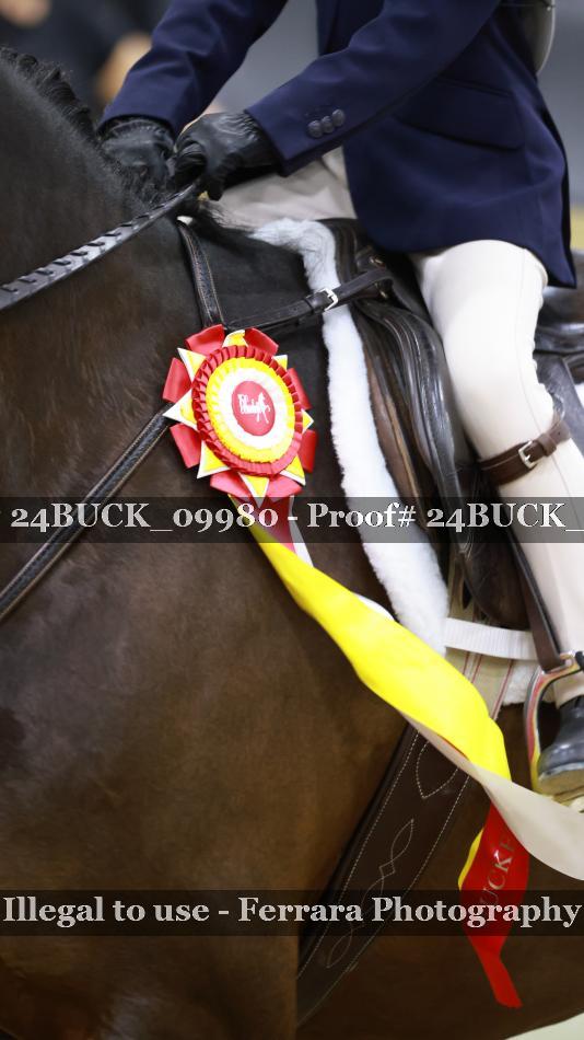 Proof 24BUCK_09980