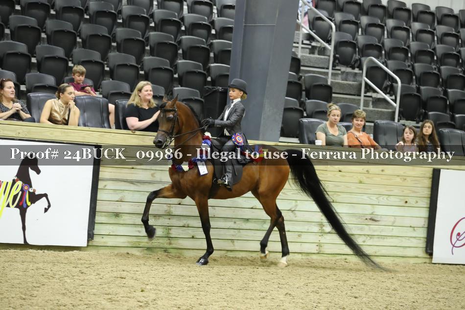 Proof 24BUCK_09986